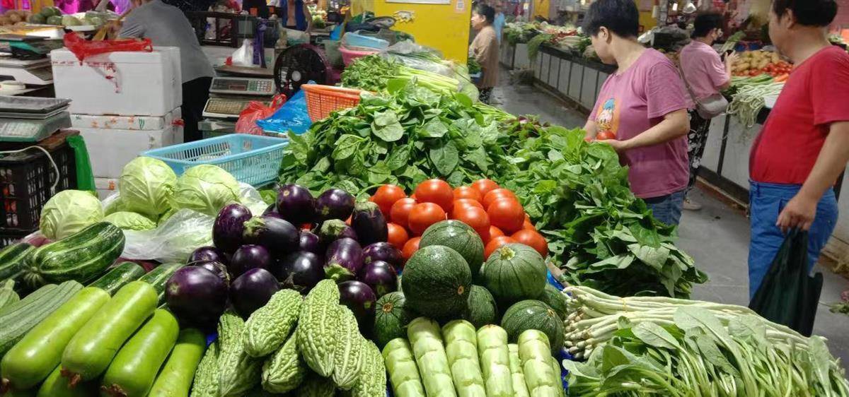 新澳门线路检测老品牌