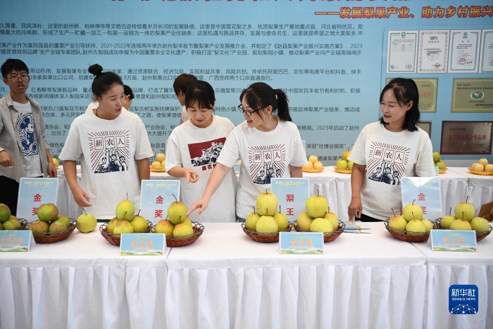 4g棋牌游戏